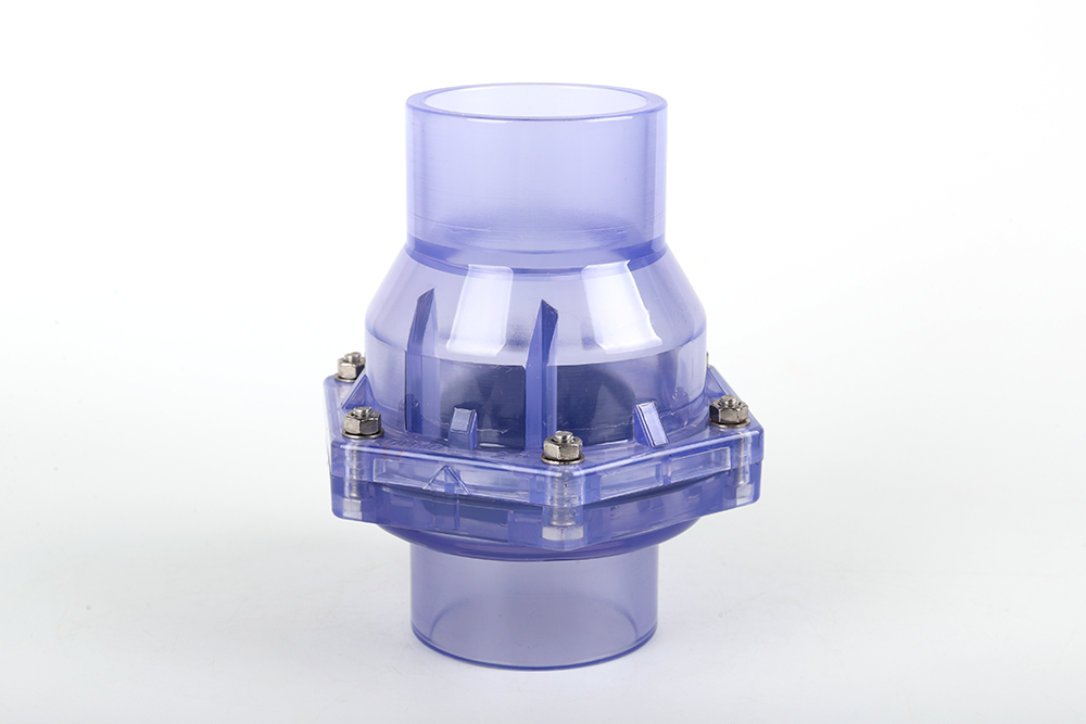 双塔透明翻板式止回阀